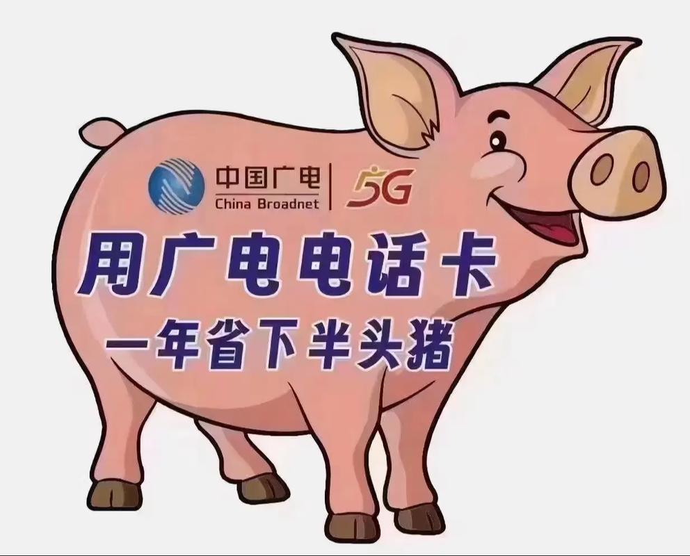 中国广电5g流量卡升龙卡192g流量 192分钟通话3