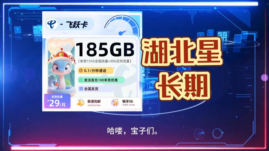 湖北星卡长期29元每月185g自动续 5g黄金速率500mbps 激活时选号 自己