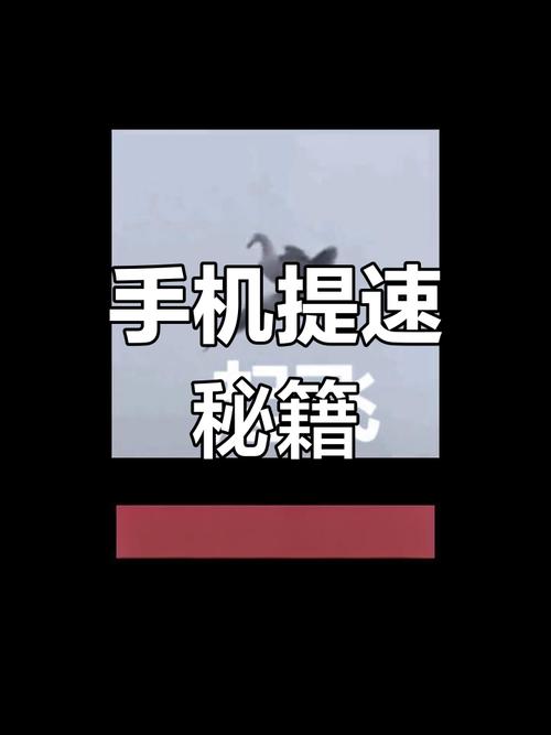解除手机流量限速网速飞起来