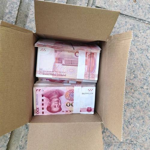 阿姨诈骗骗子