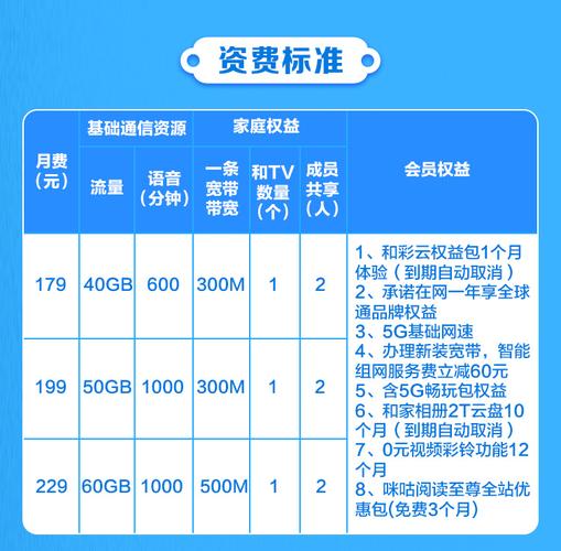 5g智享套餐家庭版b