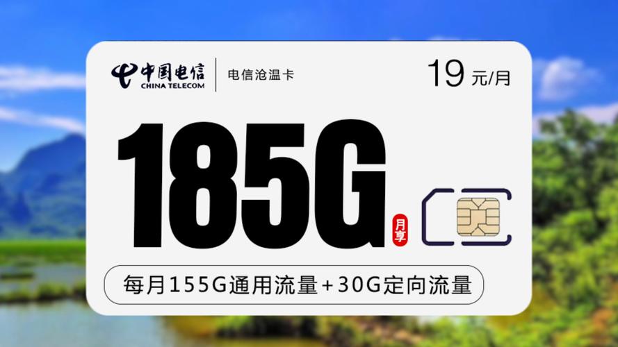 流量卡沧沧电信沧温卡半年19