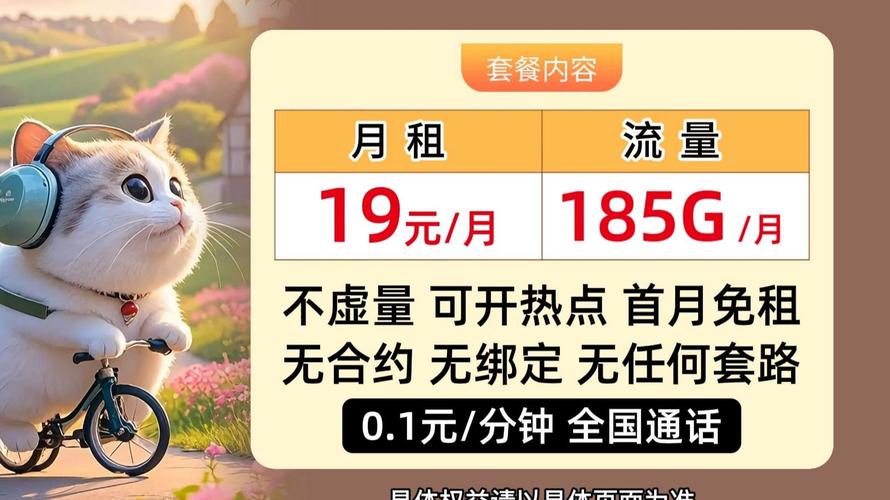 2025年新版电信19元流量卡免费申请入口每月185g通用流量0元领卡