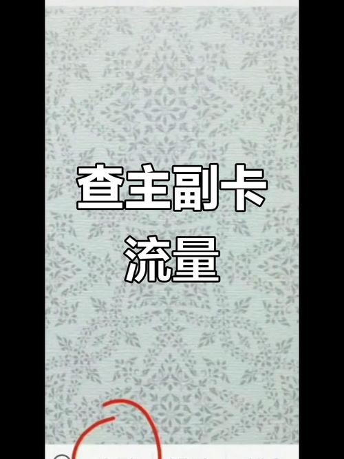 如何快速查询主副卡流量使用情况操作超简单