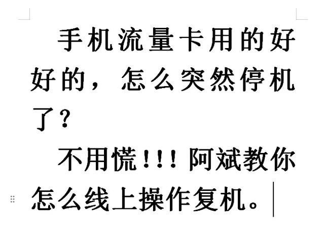 线上申请办理的手机流量卡停机了不用慌