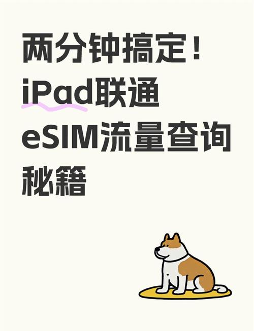 联通专属流量怎么看？2025最新查询+使用指南，看完再也不慌！