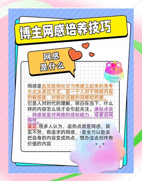 网感爆棚百万流量秘诀大揭秘