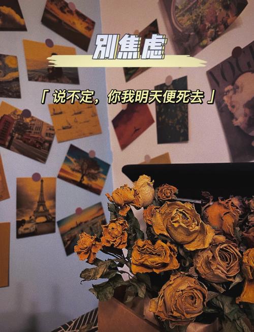 别再问飞享套餐值不值了！我翻了12万条留言，把焦虑和答案都理清楚了