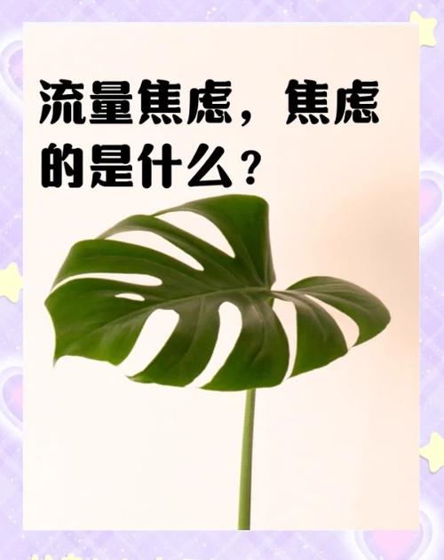 流量焦虑的背后被看见的渴望