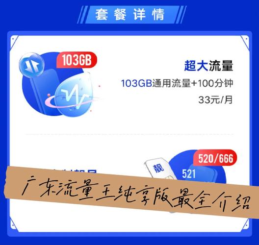 广东流量王纯享版最全介绍多图