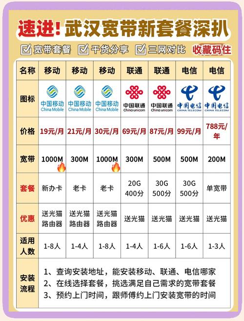 一 套餐解析  移动宽带 19