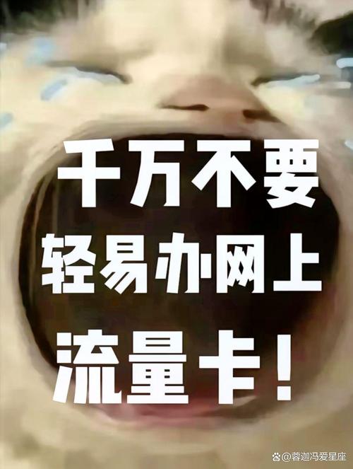 选11位号段的正规流量卡 2能够在掌上营业厅查询和办理业务 3