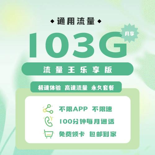 流量王乐享版一辈子29元103g
