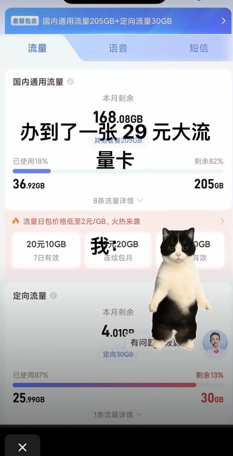 广东电信星卡回归 29 元 235g 全国通用流量 1