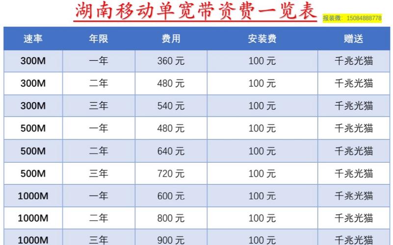 办湖南移动单宽带也可以免费看电视了300兆三年540爽歪歪
