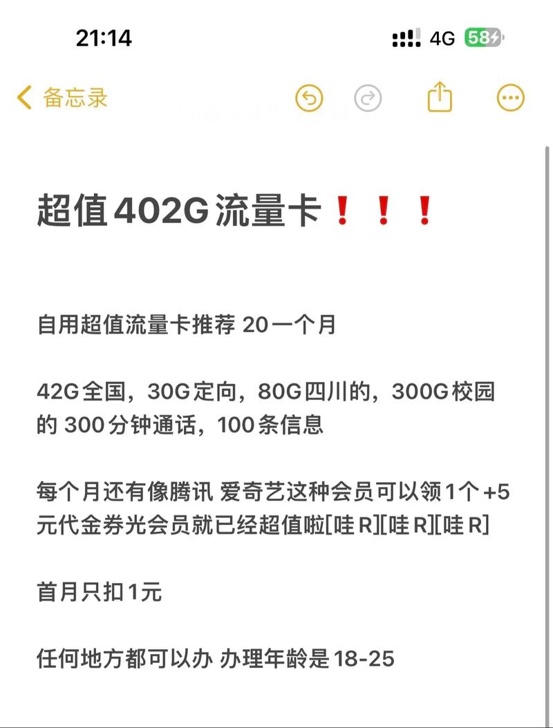 402g超值5g移动流量卡安全下车20一个月 42g全