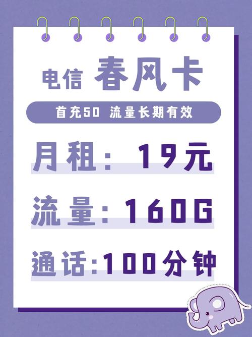 电信神卡横空出世19包160g长期