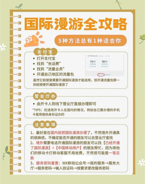别忘了先开通手机卡的国际漫游功能这样你就可以畅游世界无需担心