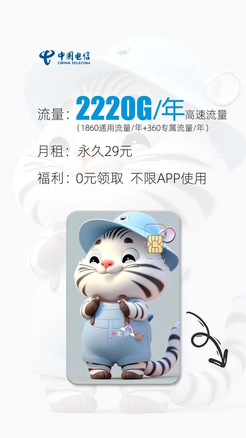 中国电信龙年新卡2220g全年不限速超大流量卡全国包邮