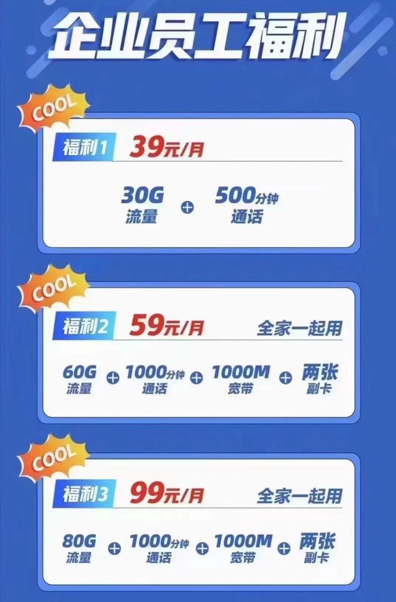 大流量套餐 39元 30g500分钟39元 30g50