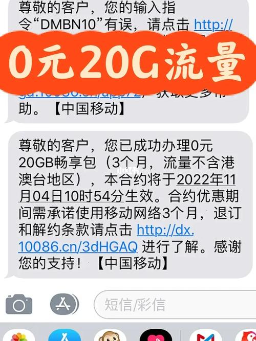 广东移动0元20g流量包办理成功