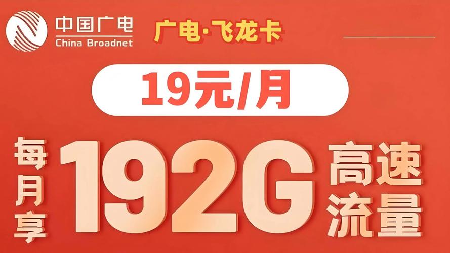 19元192g流量卡套餐广电飞龙卡套餐震撼来袭