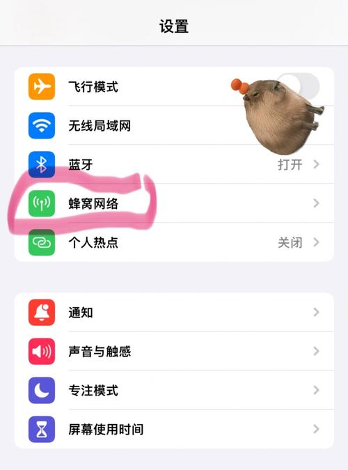 今天我要分享一个超级实用的小技巧帮你管理苹果手机的流量特别是