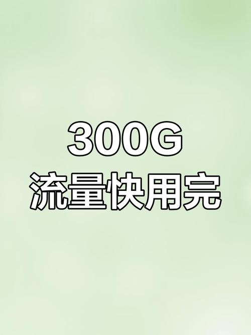 300g流量一个月不够用账户余额告急