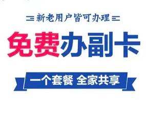 中国移动 万能副卡 副卡 副卡钜惠3元32g副