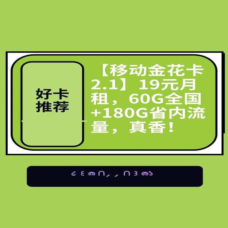 19元月租60g全国 180g省内流量移动金花卡21