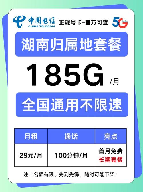 湖南宝子专属福利29元享185g 100分钟长期套餐月租流量不变