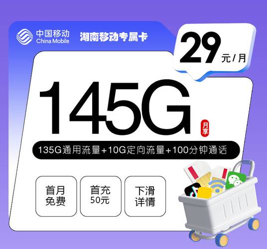 移动湖南专属卡29元月包135g通用流量 10g定向流量 100分钟通话仅发