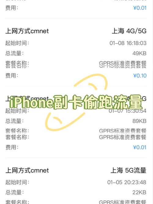 iphone副卡偷跑流量的根治办法