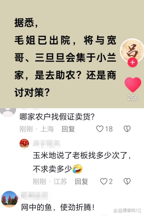 看图追剧动态连更挑战  图片