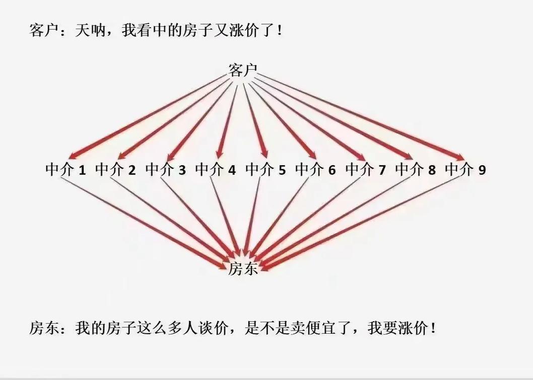 你买一套房子 找了9个中介自认为聪明的让9个中介都去帮你