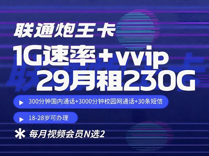 联通炮王卡29元月租享230g通用流量还有双会员18