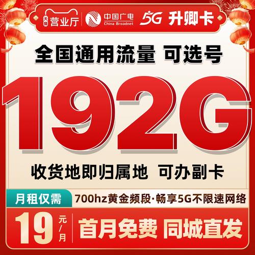官网直发广电升卿卡手机卡双百卡4g5g上网通用开热点纯流量卡