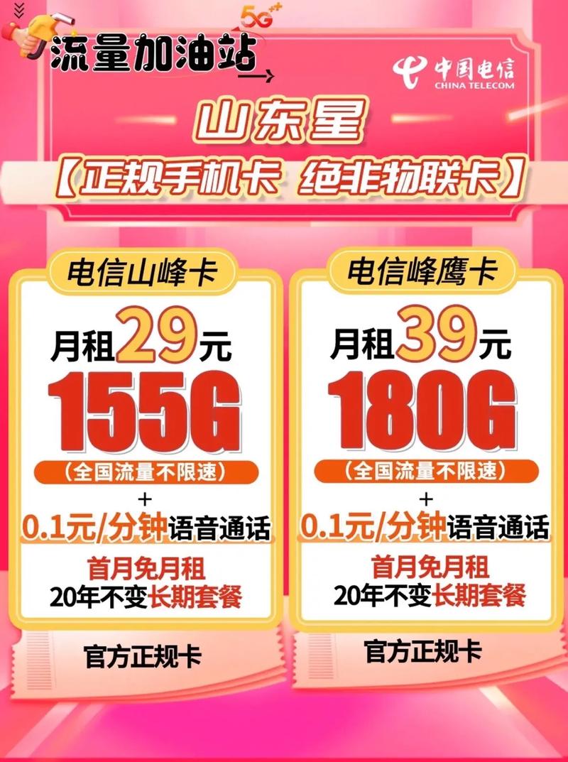 电信山东星自选号码20年长期套餐电信千秋卡29元155g国