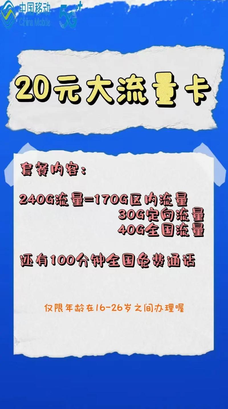 这张20元大流量卡240g流量随便刷