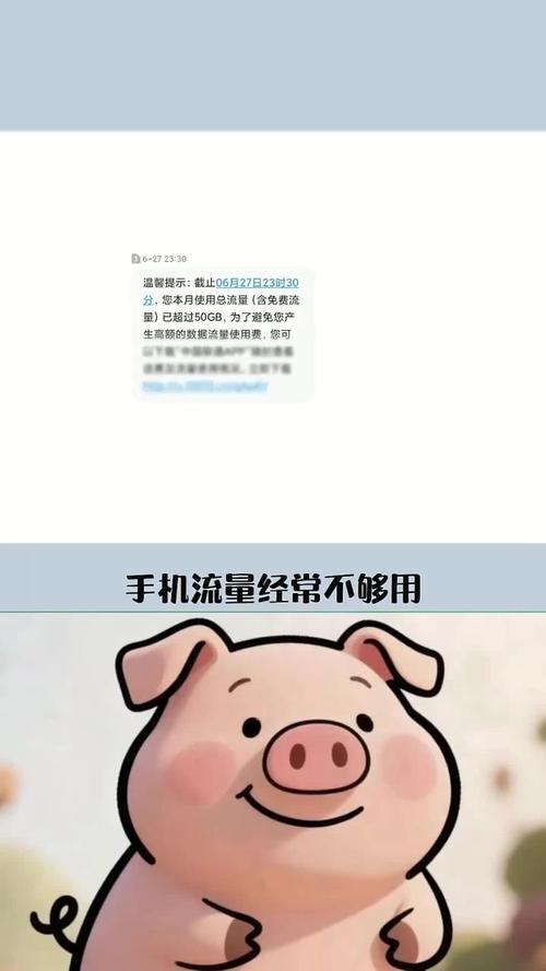 再也不怕出门流量不够用了