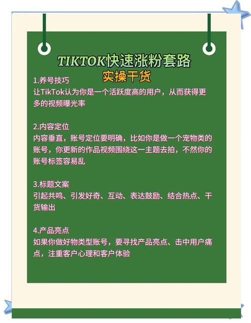 tiktok涨粉秘籍从0到1的实战指南
