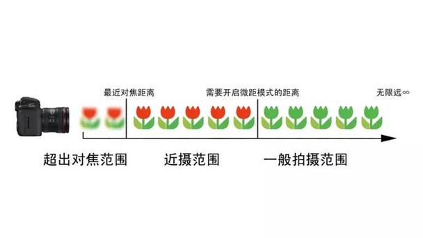 学会运用对焦轻松应付各场景摄影小白轻松看懂的摄影系列课
