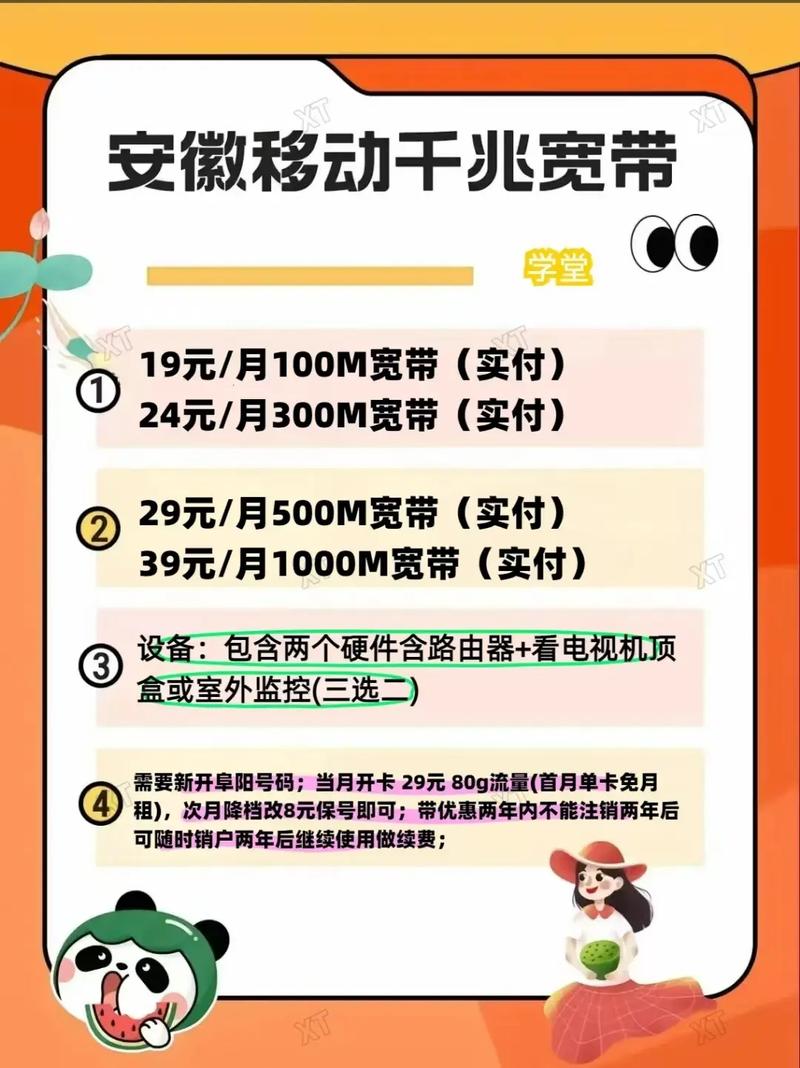 移动宽带全省装