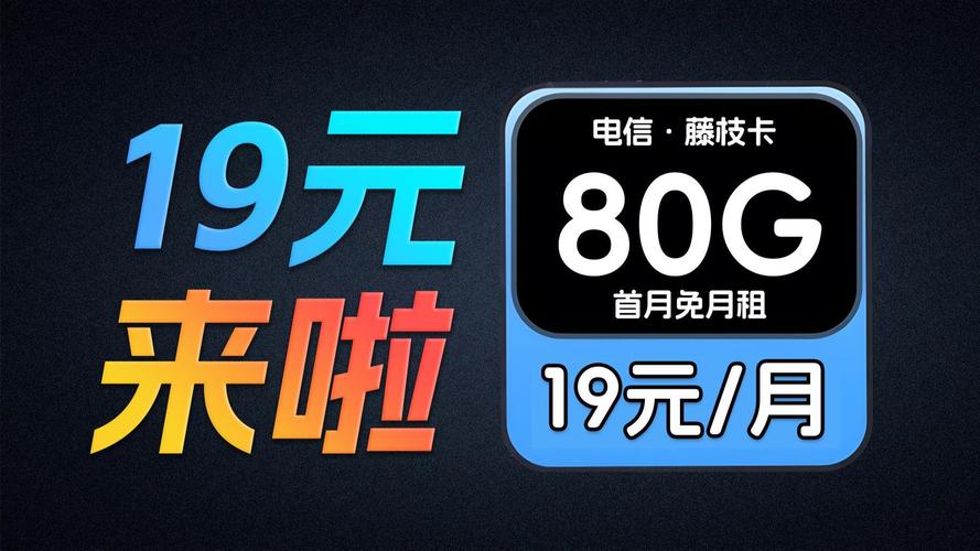 电信藤枝卡19元80g高速流量首月免月租