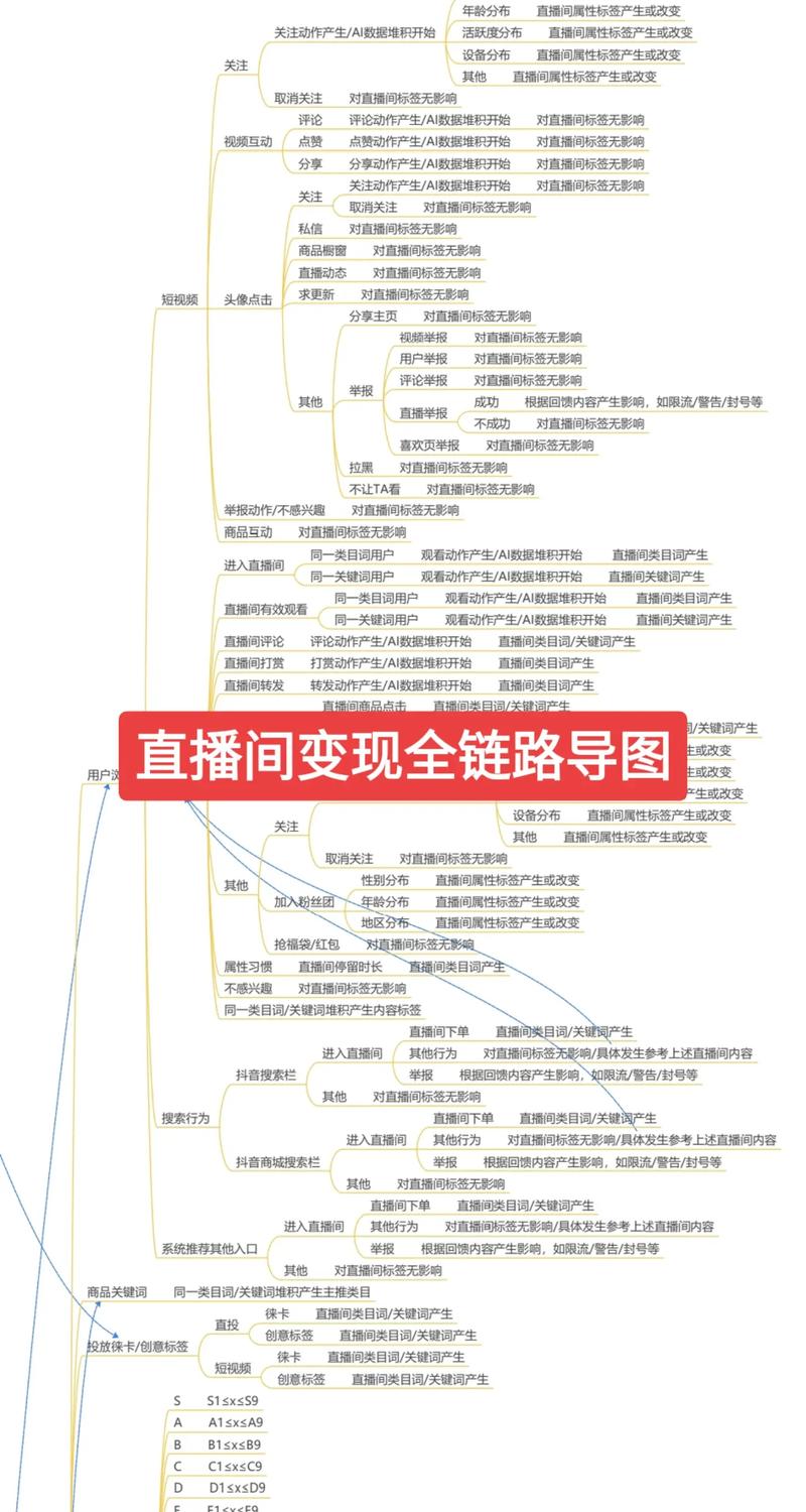 直播间流量变现用户标签运营思维导图直播间搭建 主播培训