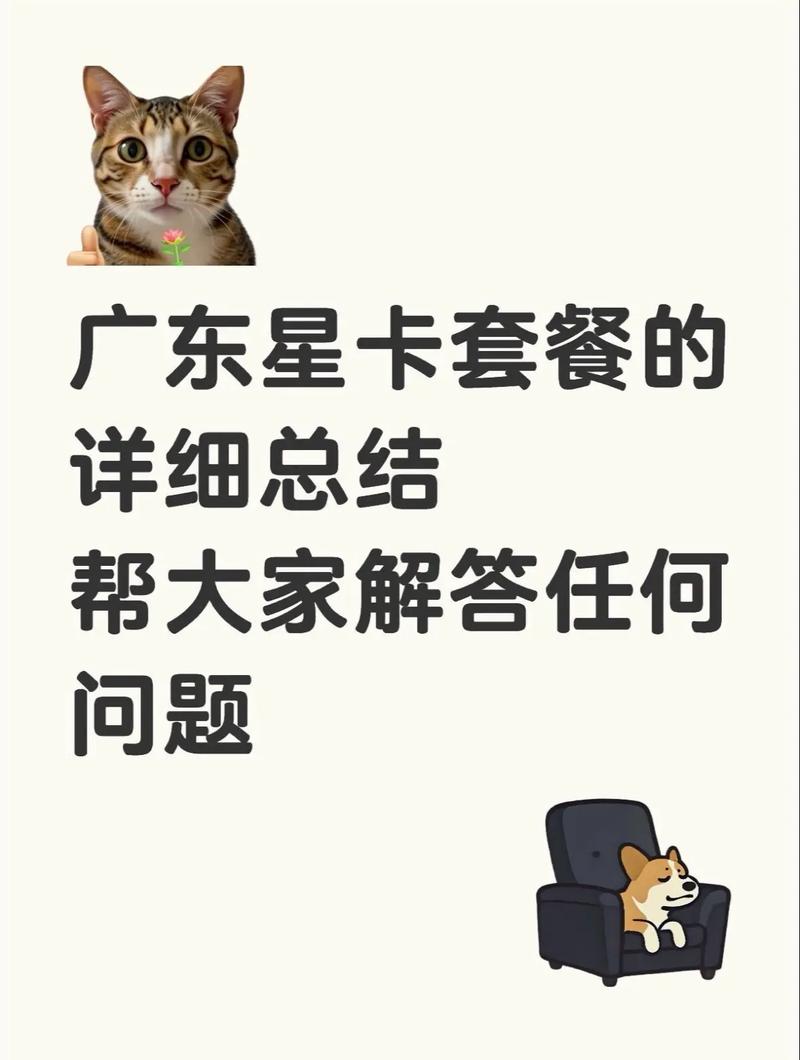 关于广东电信星卡29元235g流量100通话套餐绝大多数人咨