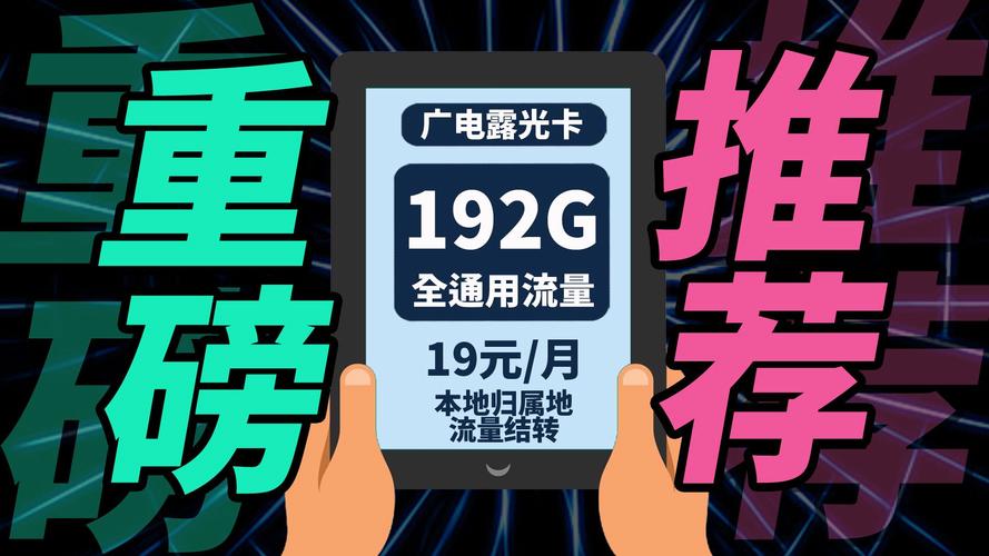 19元192g广电流量卡回归广电露光卡19元192g全国通用流量广电本地