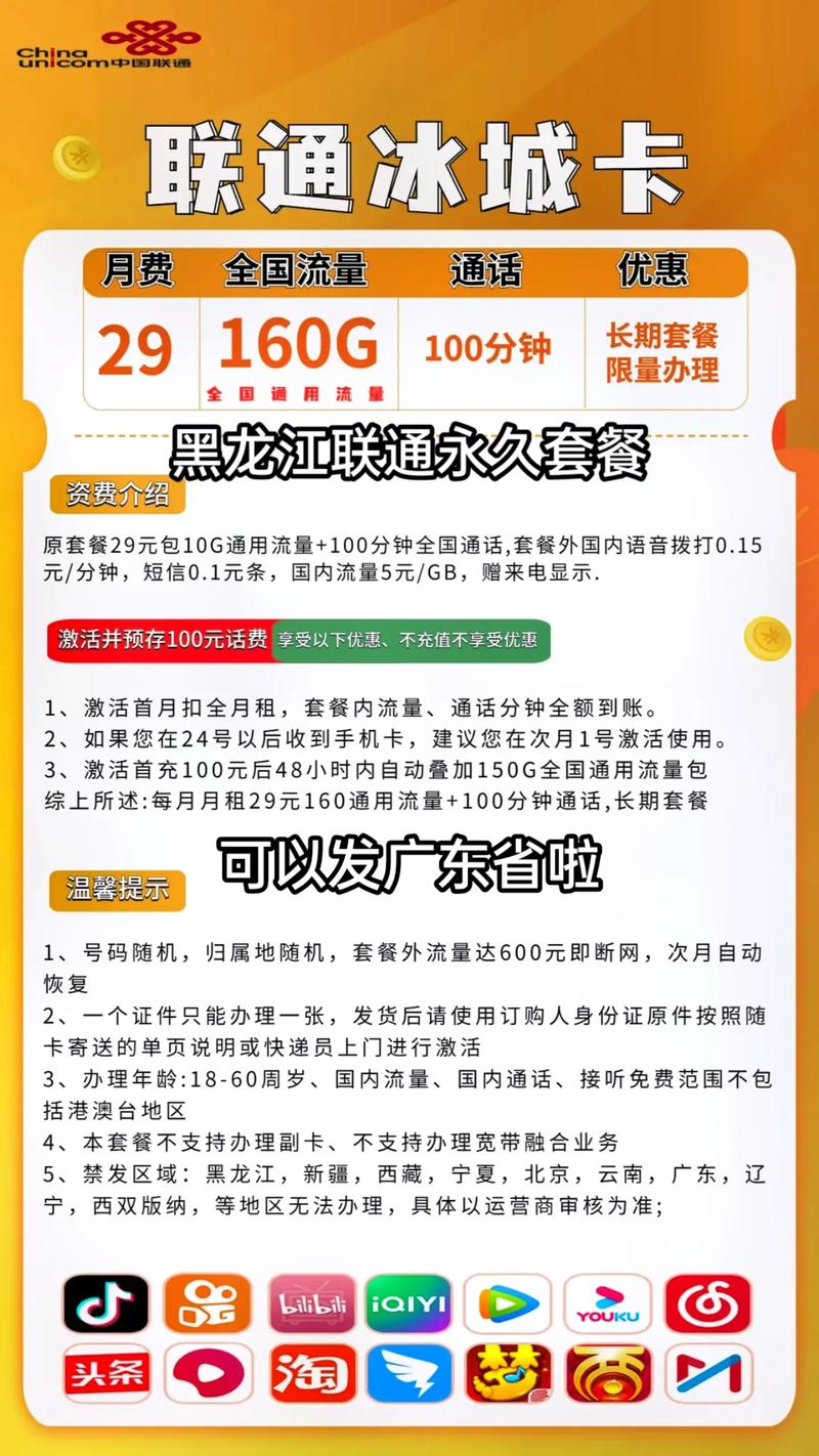 流量卡 黑龙江联通永久套餐可以发广东啦每月29元160