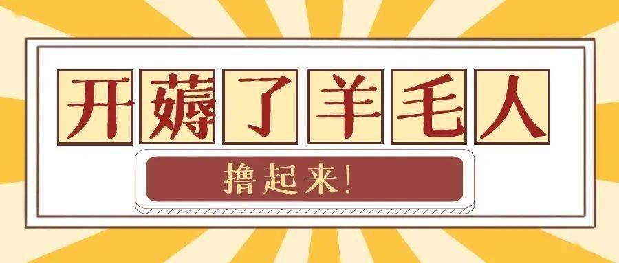 大家快来薅羊毛