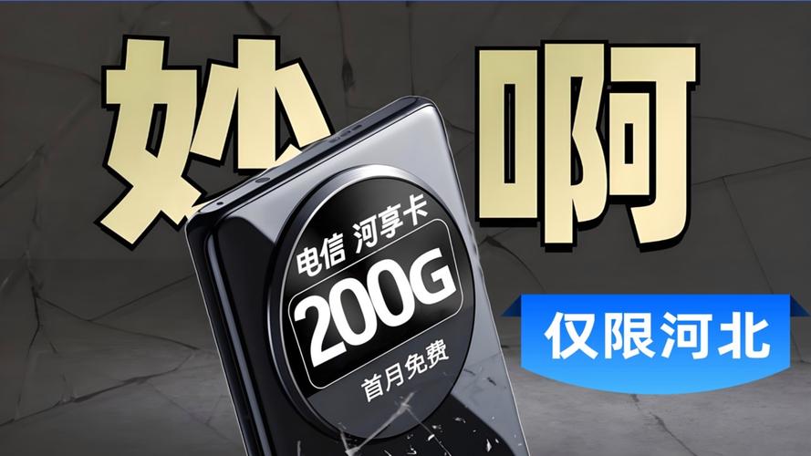 仅限河北电信河享卡29元200g大流量卡官方套餐到期自动续约